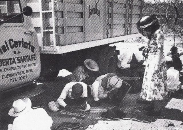 Historia de Miel Carlota